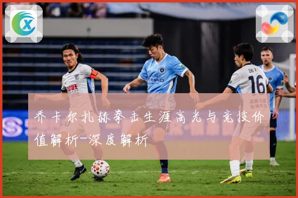 乔卡尔扎赫拳击生涯高光与竞技价值解析-深度解析