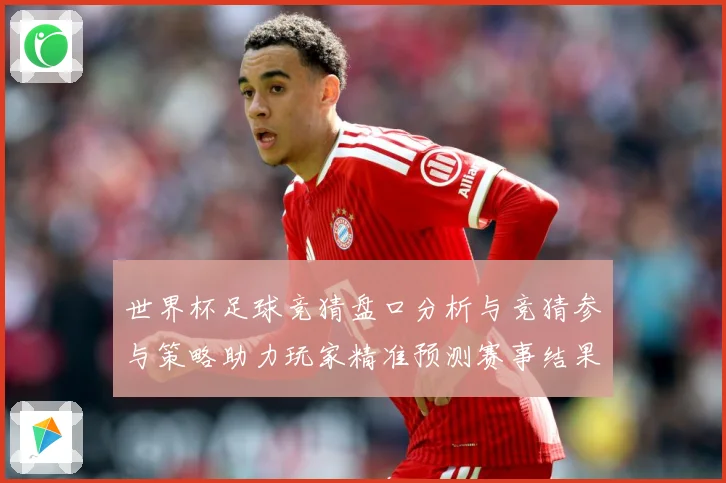 世界杯足球竞猜盘口分析与竞猜参与策略助力玩家精准预测赛事结果数据研判-深度解析